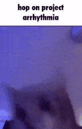 Project Arrhythmia Hop On GIF - Project Arrhythmia Hop On Cat GIFs