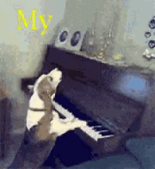 Dog Sing GIF - Dog Sing Bitch GIFs