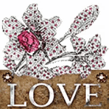 Love Flower GIF - Love Flower GIFs