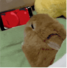 a cat laying on a green blanket looking at a cell phone with red apples on it