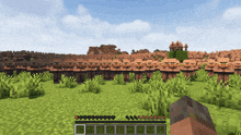 a screenshot of a minecraft game with a person holding a block