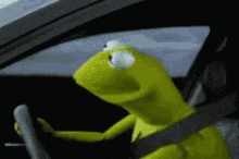 Frog Funny GIF - Frog Funny Driving GIFs