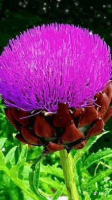 Have A Beautiful Day GIF