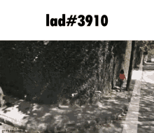 Lad3910 Not Funny GIF