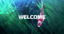 banner welcome