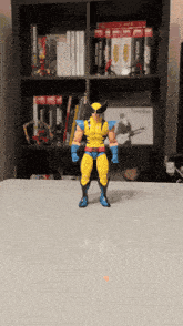 a wolverine action figure stands on a table in front of a bookshelf
