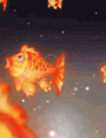 Goldfish Swim GIF - Goldfish Fish Swim GIFs
