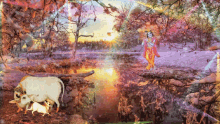 Jai Sh Krishna Lights GIF - Jai Sh Krishna Lights Forest GIFs