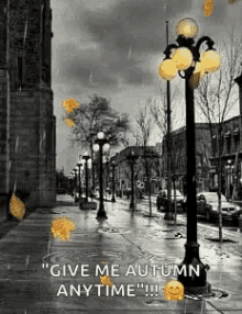 Autumn Rain GIF - Autumn Rain Leaves GIFs
