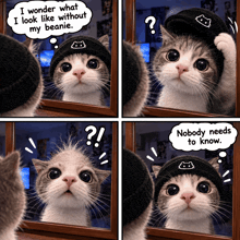 a cat wearing a beanie looks at itself in a mirror and says i wonder what i look like without my beanie