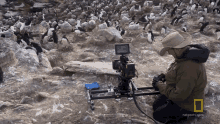 preparing the camera ready to film hostile planet world penguin day ready for my closeup