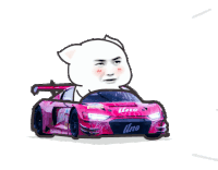 a cartoon of a cat driving a pink uno race car
