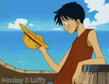 Luffy One Piece GIF - Luffy One Piece Straw Hat GIFs