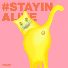Alive Cat Bum Quantum Taproot Wizards Stayinalive GIF - Alive Cat Bum Quantum Taproot Wizards Stayinalive GIFs