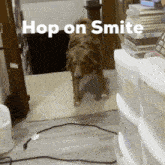 Hoponsmite Hop On Smite GIF - Hoponsmite Hop On Smite Get On Smite GIFs