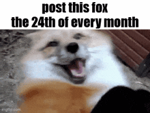 a fox is laughing with its mouth open and the words `` post this fox the 24th of every month '' .