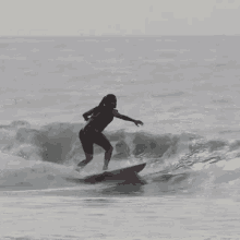 Tentando Surfar Paulo Andre GIF - Tentando Surfar Paulo Andre Flamboiar GIFs