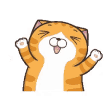 Animated Cat GIF