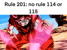 Rule 201 Dragon Ball Rule GIF