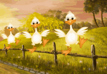 Love You GIF - Love You Duck GIFs