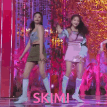Ski Mimi Mimi Ski GIF - Ski Mimi Mimi Ski Skimi GIFs