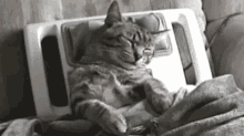 Cat Sleeping GIF - Cat Sleeping Spa Day GIFs