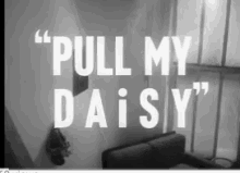 Pull My Daisy GIF - Pull My Daisy GIFs
