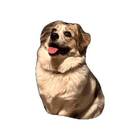 Ellie Dog Sticker - Ellie Dog Puppy Stickers