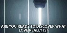 Are You Ready To Discover What Love Really Is Ready GIF