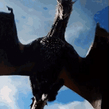 Mother Of Dragons Thrones GIF