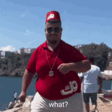 Dom Dom Yes Yes Fat GIF - Dom Dom Yes Yes Fat Gros - Discover