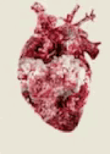 Amor Heart GIF - Amor Heart Pump GIFs