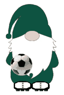 gnome sports soccer