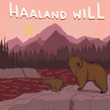 Haaland Will Protect Public Lands And Waters Bears GIF - Haaland Will Protect Public Lands And Waters Public Land Bears GIFs