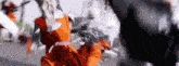 a blurry picture of a person in an orange dress standing in front of a black object .