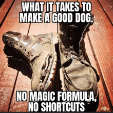 a pair of boots on a wooden surface with a caption that says what it takes to make a good dog