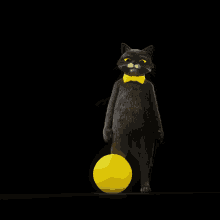 Studiomoderna Cat GIF - Studiomoderna Cat Soccer GIFs
