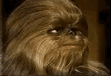 Wookiee Embarrassed GIF - Wookiee Embarrassed Surprised GIFs