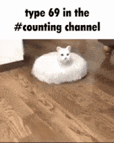 Discord Counting GIF