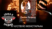 a collage of images including a cat and a foreign language