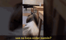 San Na Kaya Order Namin Doratzu GIF