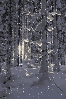 Ang Snowed GIF - Ang Snowed Merry Christmas GIFs