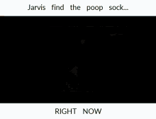 Jarvis GIF
