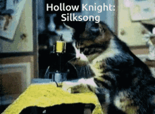 Hollow Knight Silksong GIF - Hollow Knight Silksong Hollow Knight Silksong GIFs