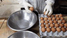 a person is holding an egg next to a tray of eggs and a bowl