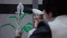 a person spraying a flower with a sprayer