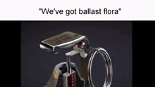 a picture of a grenade with the words `` we 've got ballast flora '' written on it .