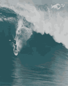 Surfing Red Bull GIF - Surfing Red Bull Big Waves Ahead GIFs