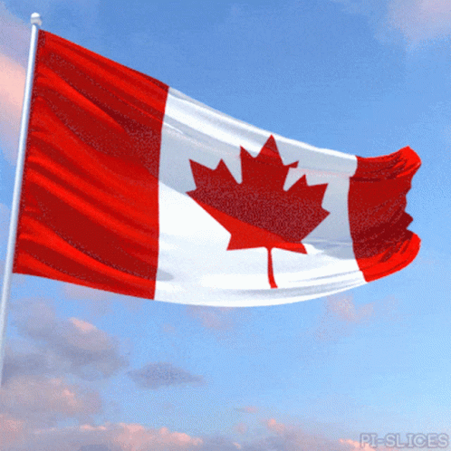 waving canadian flags