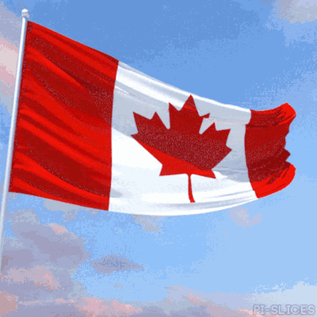 Canada Flag GIFs | Tenor